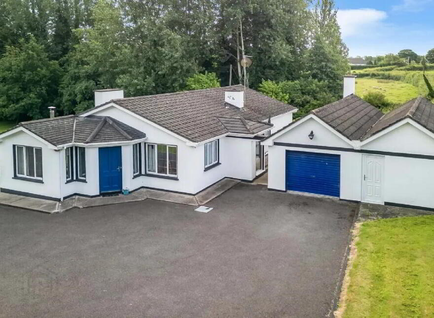 Newtownmoynagh, Trim, C15K253