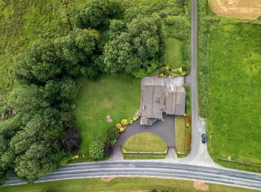 Newtownmoynagh, Trim, C15K253