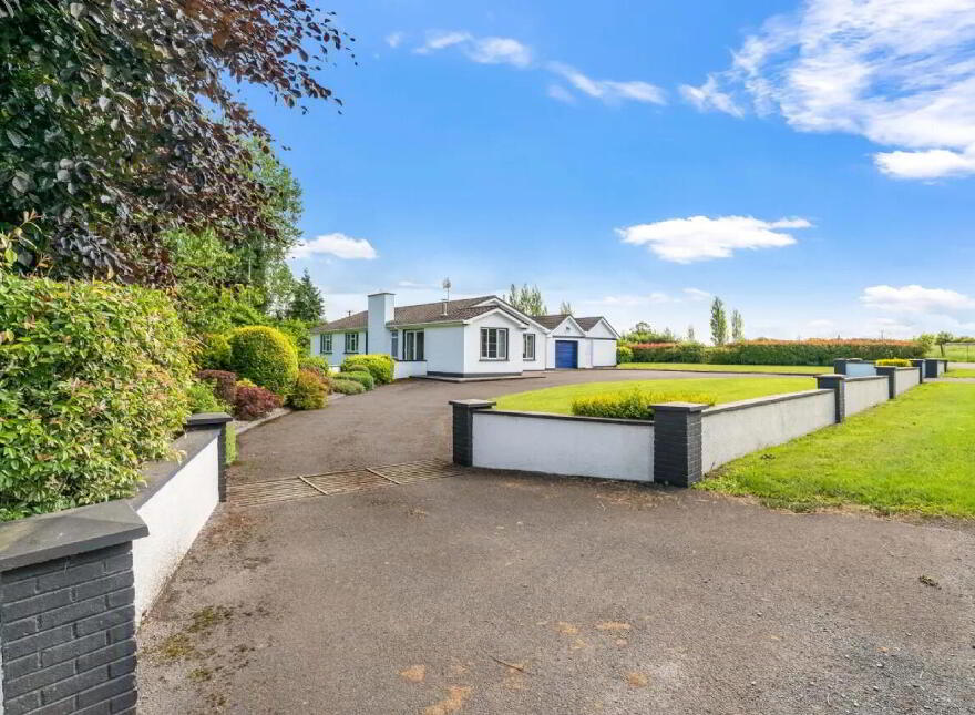 Newtownmoynagh, Trim, C15K253