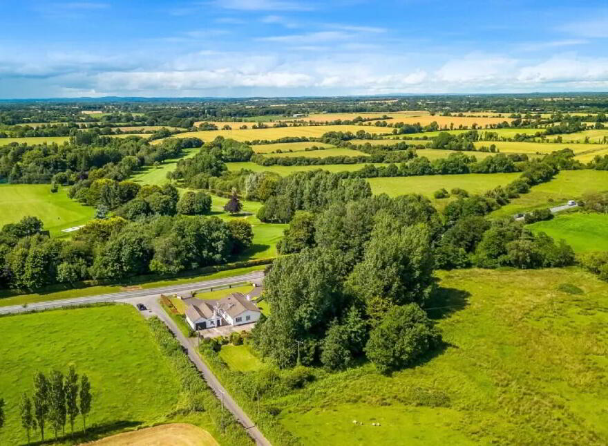 Newtownmoynagh, Trim, C15K253