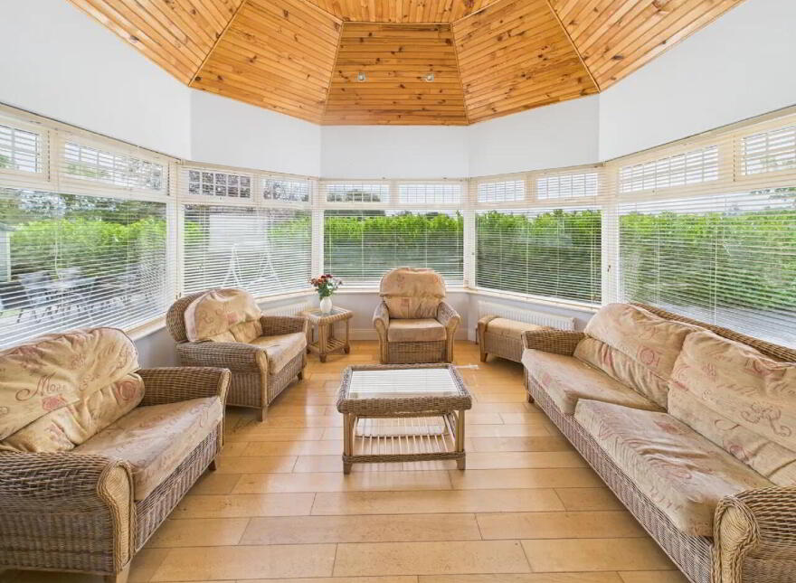Tombricane, Borrisokane, Nenagh, E45PN79
