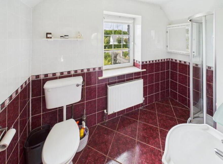 Tombricane, Borrisokane, Nenagh, E45PN79