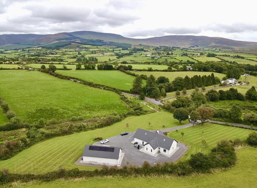 Lackendarra Larches, Ballinamult, Dungarvan, E91V5W7