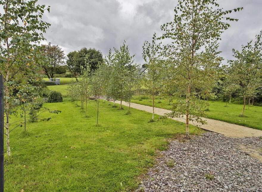 Lackendarra Larches, Ballinamult, Dungarvan, E91V5W7
