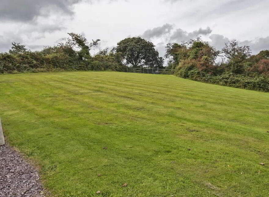Lackendarra Larches, Ballinamult, Dungarvan, E91V5W7