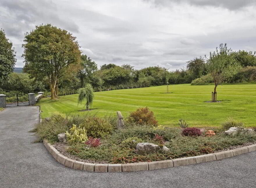 Lackendarra Larches, Ballinamult, Dungarvan, E91V5W7