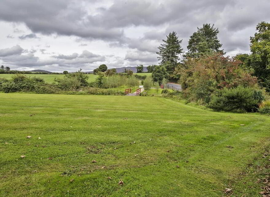 Lackendarra Larches, Ballinamult, Dungarvan, E91V5W7