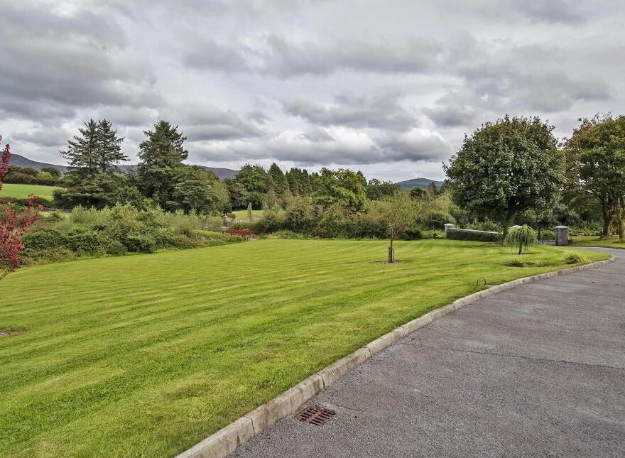 Lackendarra Larches, Ballinamult, Dungarvan, E91V5W7