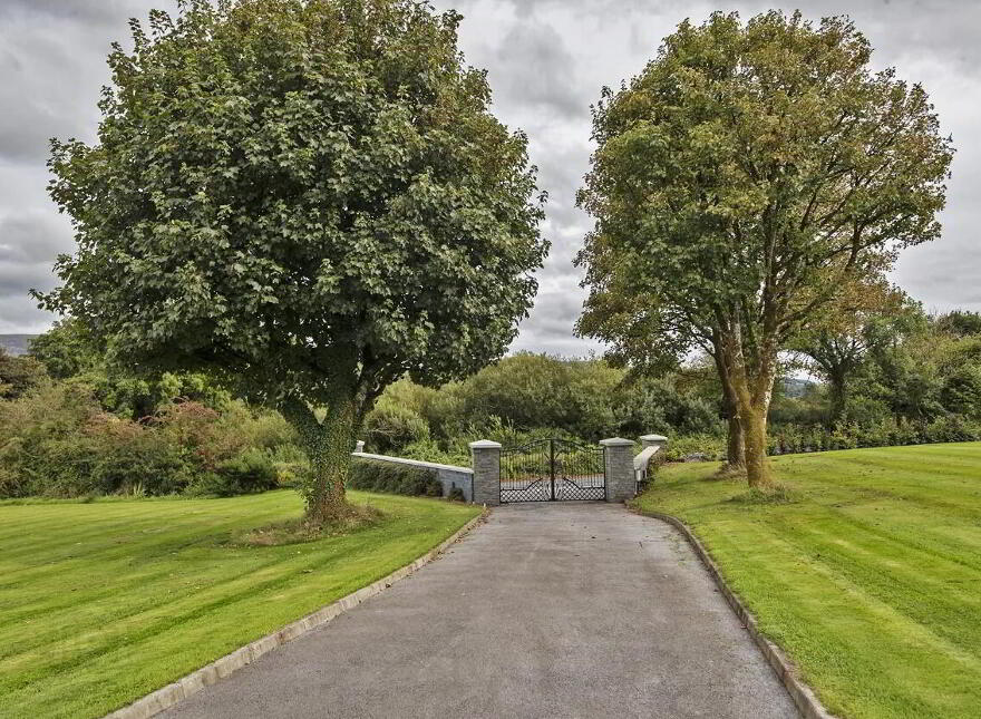 Lackendarra Larches, Ballinamult, Dungarvan, E91V5W7