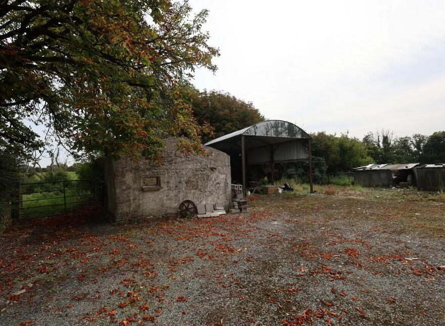 Gainstown, Mullingar, N91WP57
