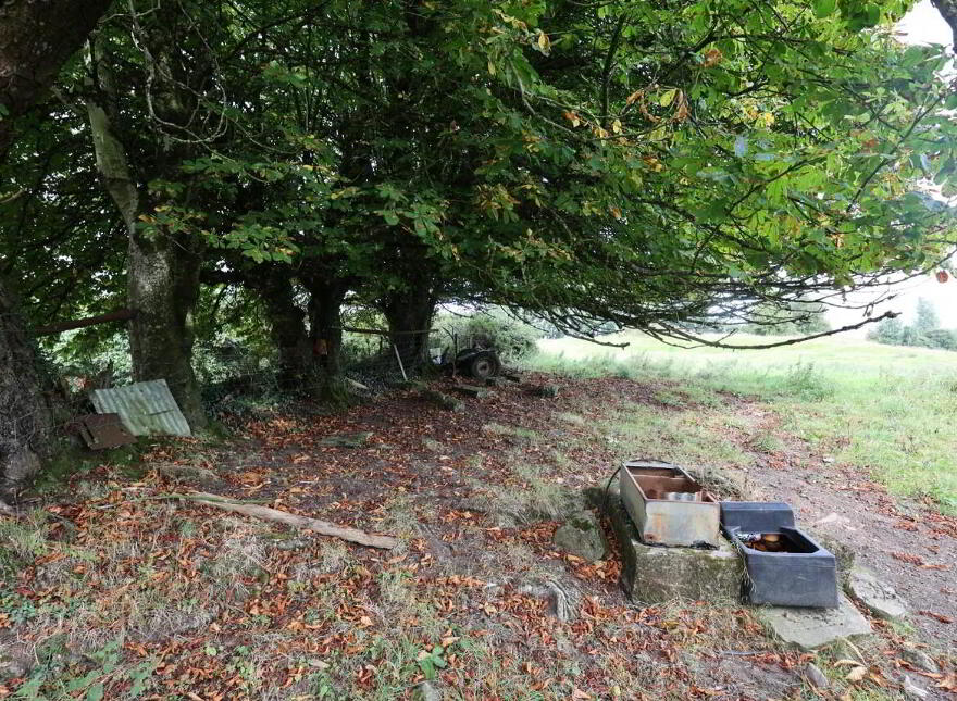 Gainstown, Mullingar, N91WP57