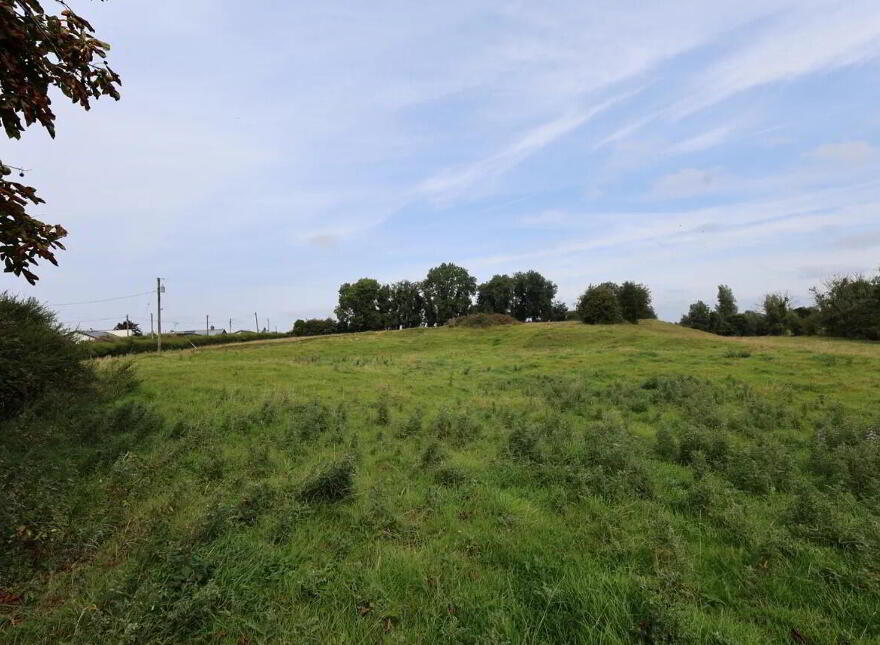 Gainstown, Mullingar, N91WP57