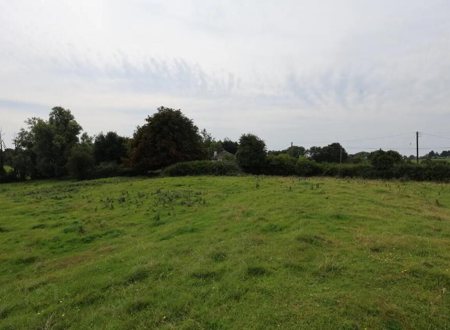 Gainstown, Mullingar, N91WP57