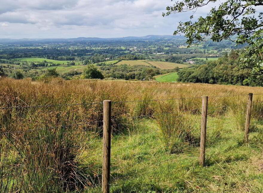 Circa 86.5 Acres At, Golan, Slatmore Road, Clogher, BT76 0HQ