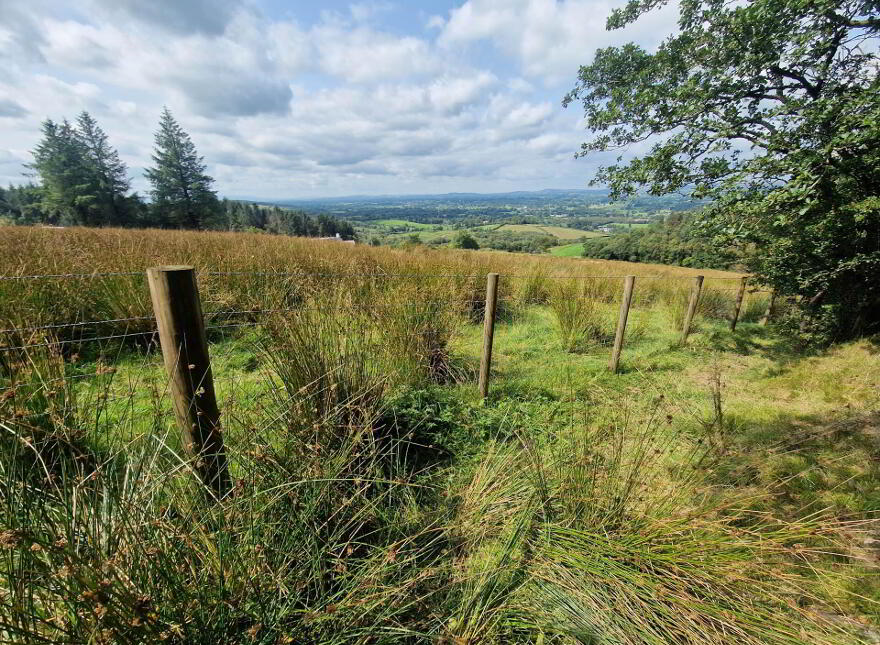 Circa 86.5 Acres At, Golan, Slatmore Road, Clogher, BT76 0HQ