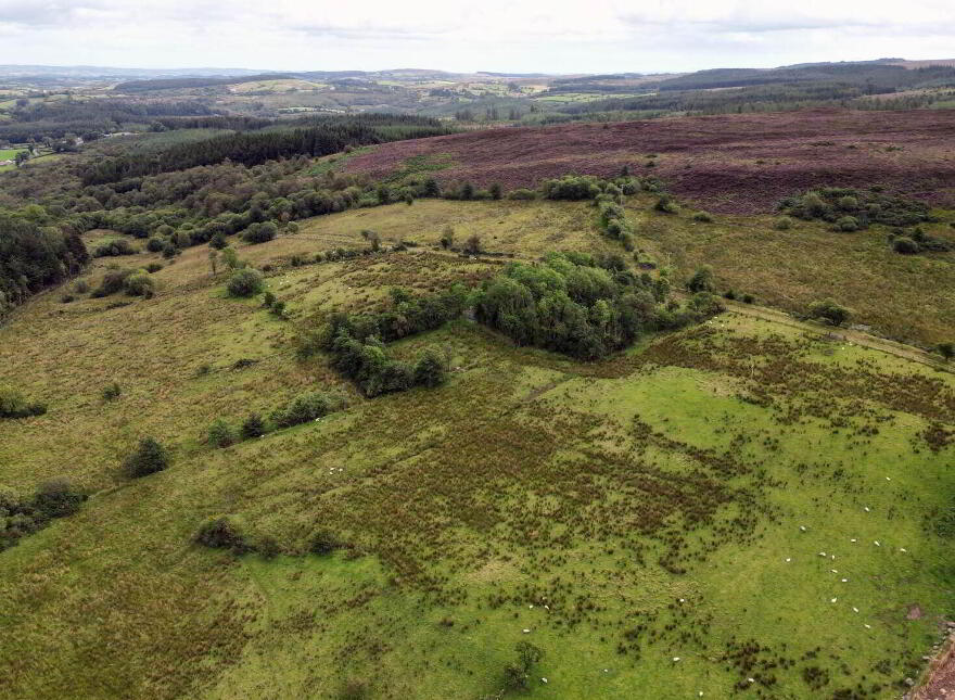 Circa 86.5 Acres At, Golan, Slatmore Road, Clogher, BT76 0HQ