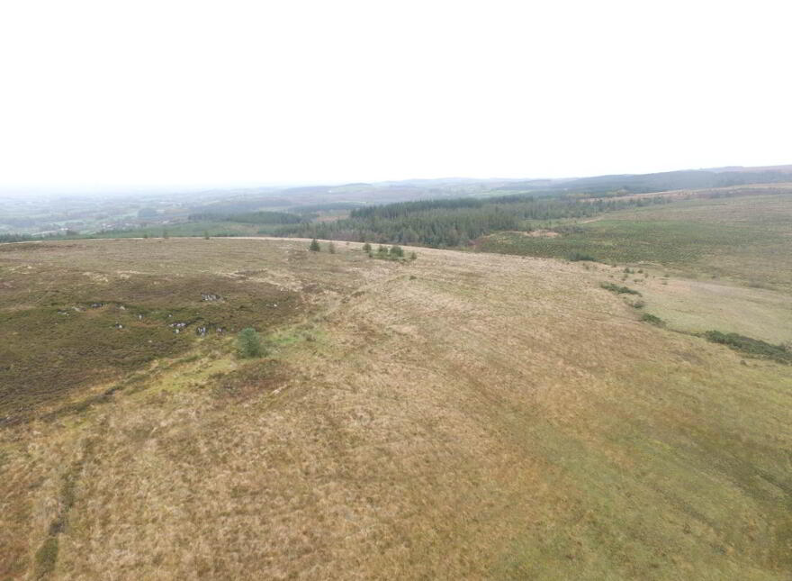 Circa 86.5 Acres At, Golan, Slatmore Road, Clogher, BT76 0HQ