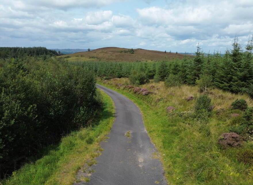 Circa 86.5 Acres At, Golan, Slatmore Road, Clogher, BT76 0HQ