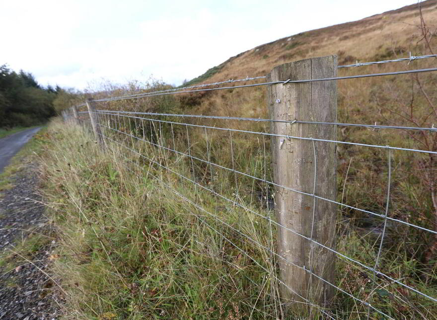 Circa 86.5 Acres At, Golan, Slatmore Road, Clogher, BT76 0HQ