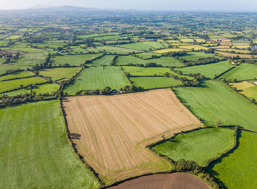 Approximately 14.3 Acres, Of Agricultural Land, Lisnode Road, Lisburn, BT27 5JS
