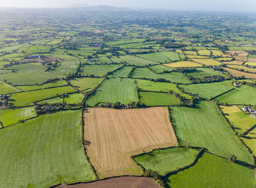 Approximately 14.3 Acres, Of Agricultural Land, Lisnode Road, Lisburn, BT27 5JS