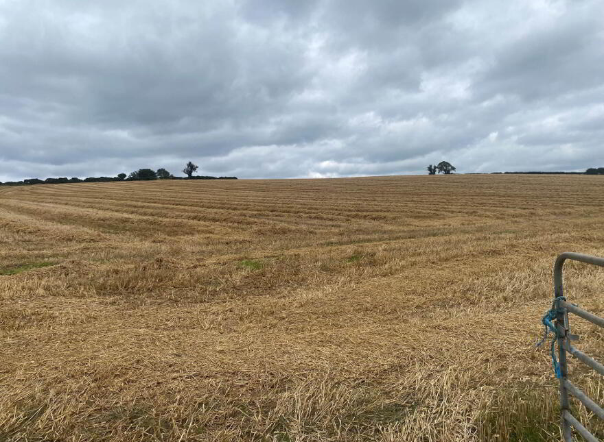 Approximately 14.3 Acres, Of Agricultural Land, Lisnode Road, Lisburn, BT27 5JS