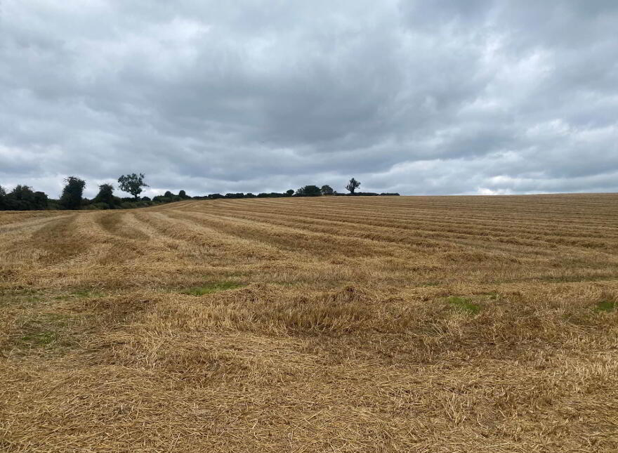 Approximately 14.3 Acres, Of Agricultural Land, Lisnode Road, Lisburn, BT27 5JS