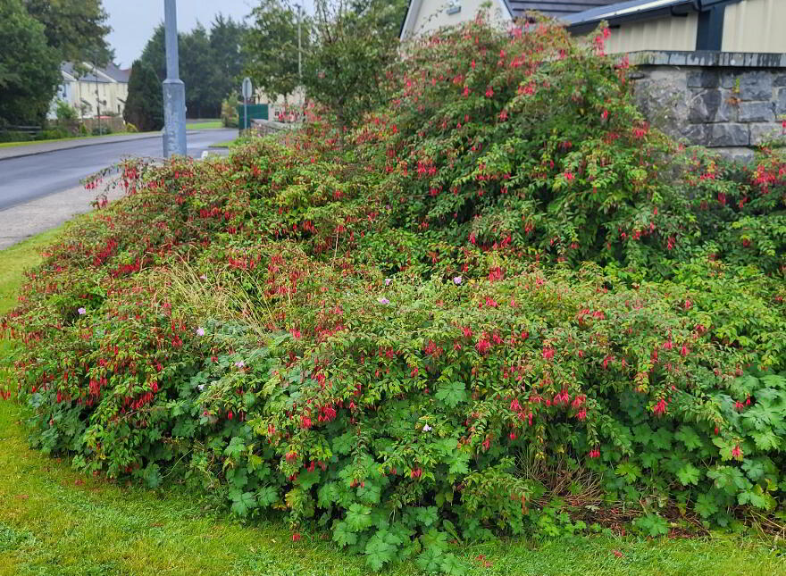 15 Coill Dara, Tubbercurry, F91H5N7