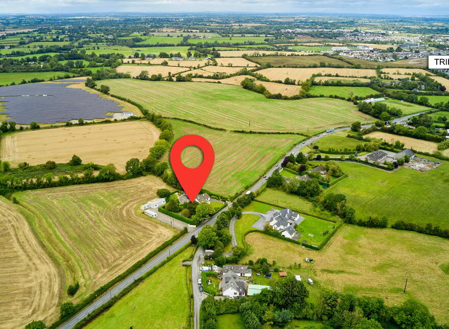 Dogstown, Trim, C15Y193