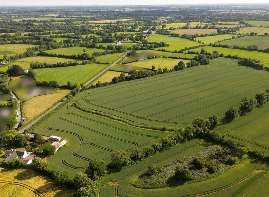 Dogstown, Trim, C15Y193