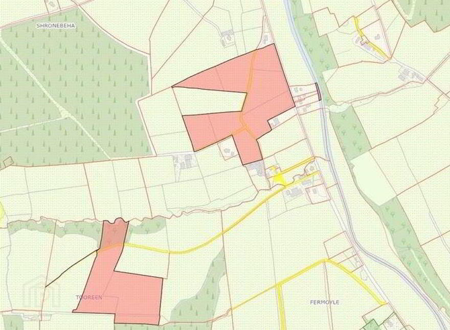 Shronebeha, Banteer
