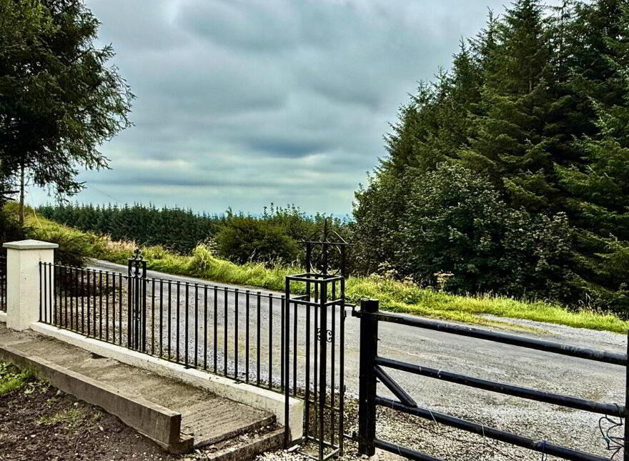 Rooska East, Carrigkerry, Newcastle West, V94XV6X