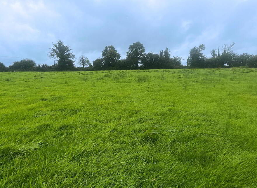 8.82 Acres Of Land At, Crossboyne, Drummin South, Claremorris