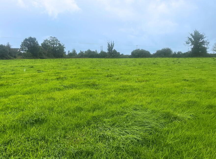 8.82 Acres Of Land At, Crossboyne, Drummin South, Claremorris