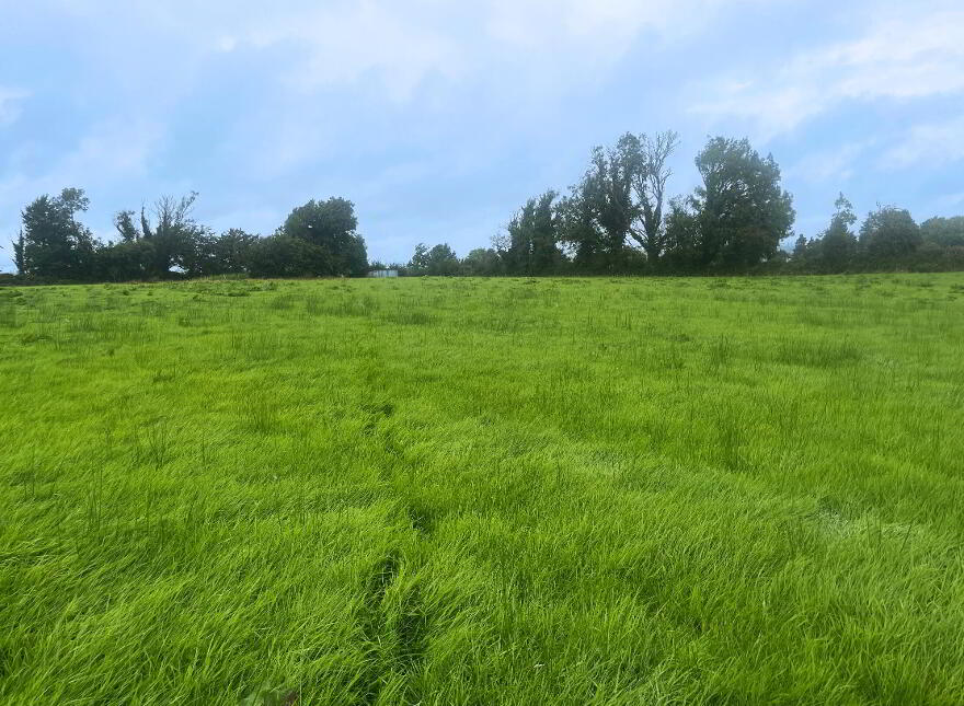 8.82 Acres Of Land At, Crossboyne, Drummin South, Claremorris