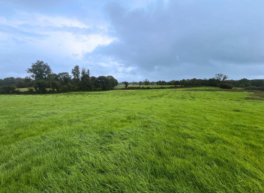 8.82 Acres Of Land At, Crossboyne, Drummin South, Claremorris