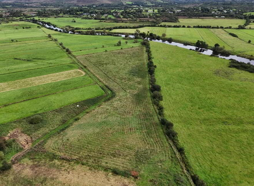 Srah, Foxford