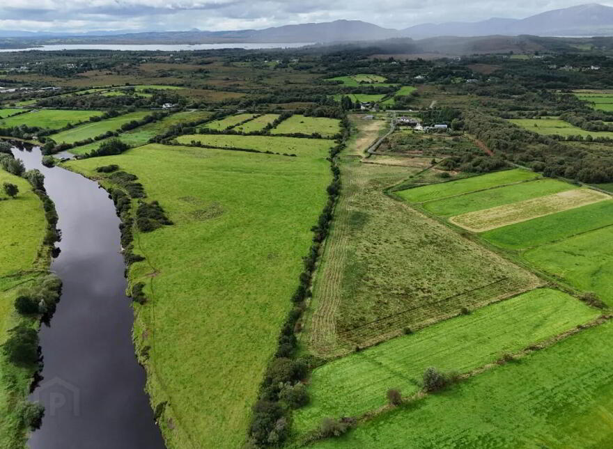 Srah, Foxford