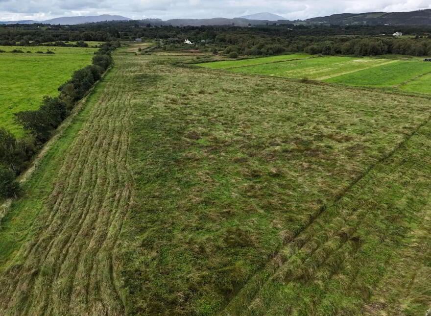Srah, Foxford