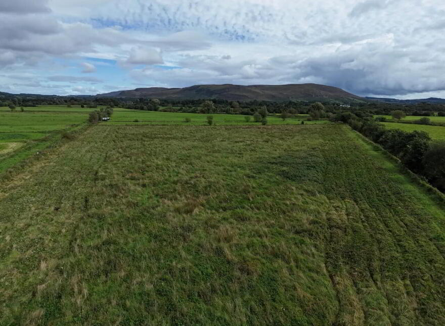 Srah, Foxford