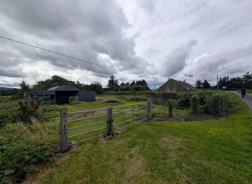 Srah, Foxford