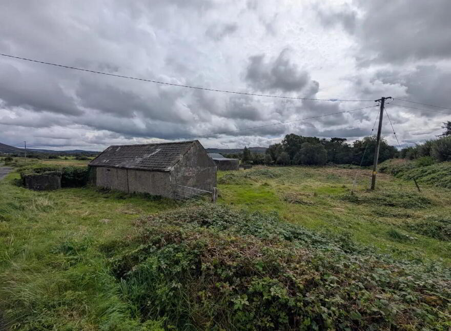 Srah, Foxford