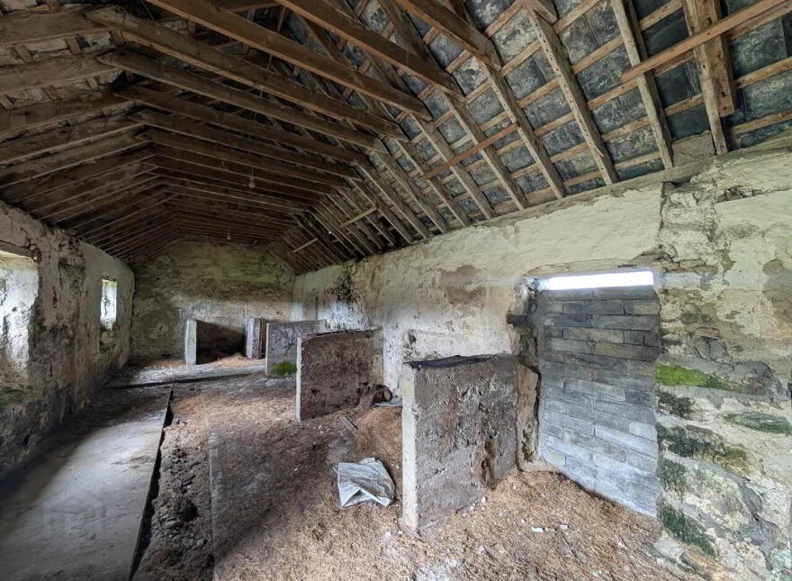 Srah, Foxford