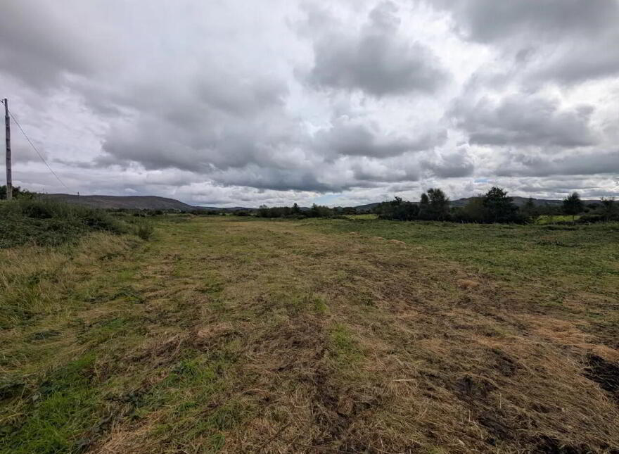 Srah, Foxford