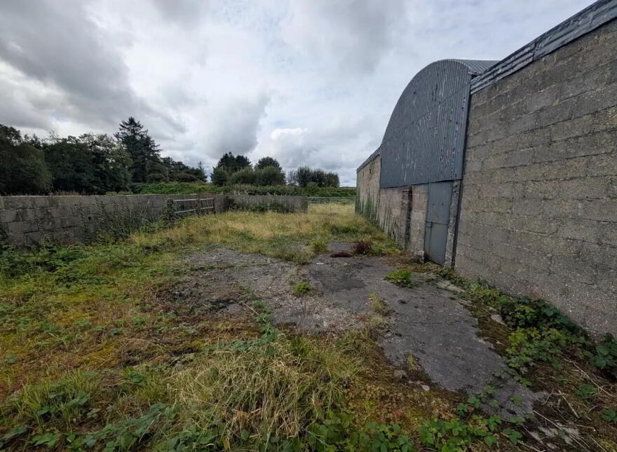 Srah, Foxford