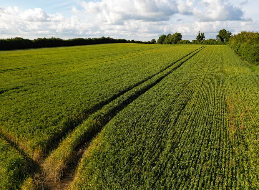 21 Acres Brannockstown, Trim