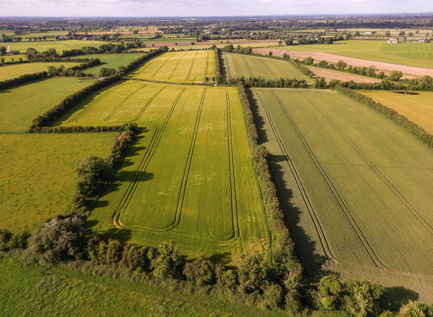 21 Acres Brannockstown, Trim