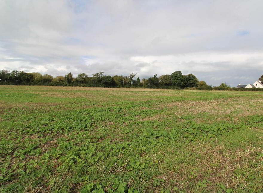 2, Ballyhayden, Borrisokane, Nenagh