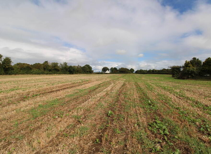 2, Ballyhayden, Borrisokane, Nenagh