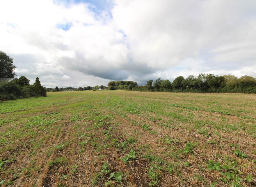 2, Ballyhayden, Borrisokane, Nenagh